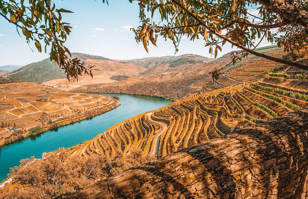 Portugals verborgene Weinschätze: Eine Reise durch die schönsten Weinregionen