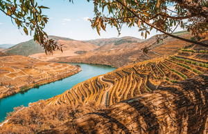 Portugals verborgene Weinanbaugebiete